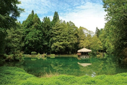 阿里山國家森林遊樂區 2