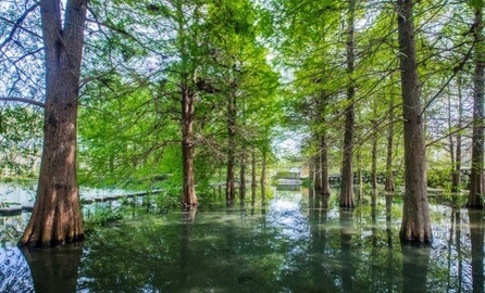 雲山水植物農場 1