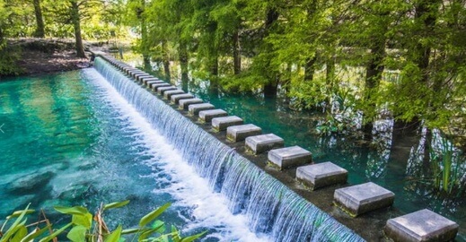 雲山水植物農場 2