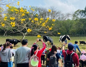飛牛牧場 2