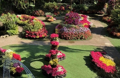 花露農場 2