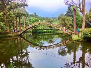 溪頭自然園區 1