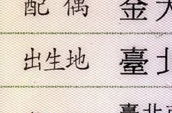 身分證背面欄位分格線的三色微小字